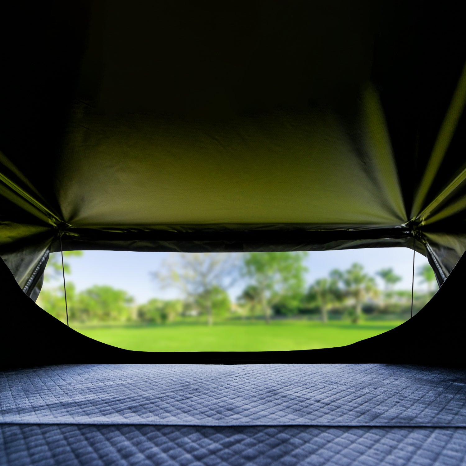 tent vision Vision